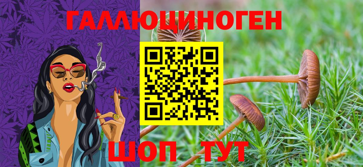 Псилоцибиновые грибы прущие грибы Мытищи