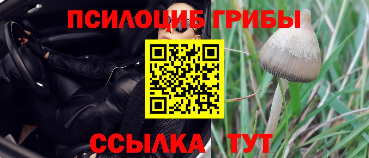 Мытищи  Галлюциногенные грибы GOLDEN TEACHER  Вход с VPN  Галлюциногенные грибы мицелий 